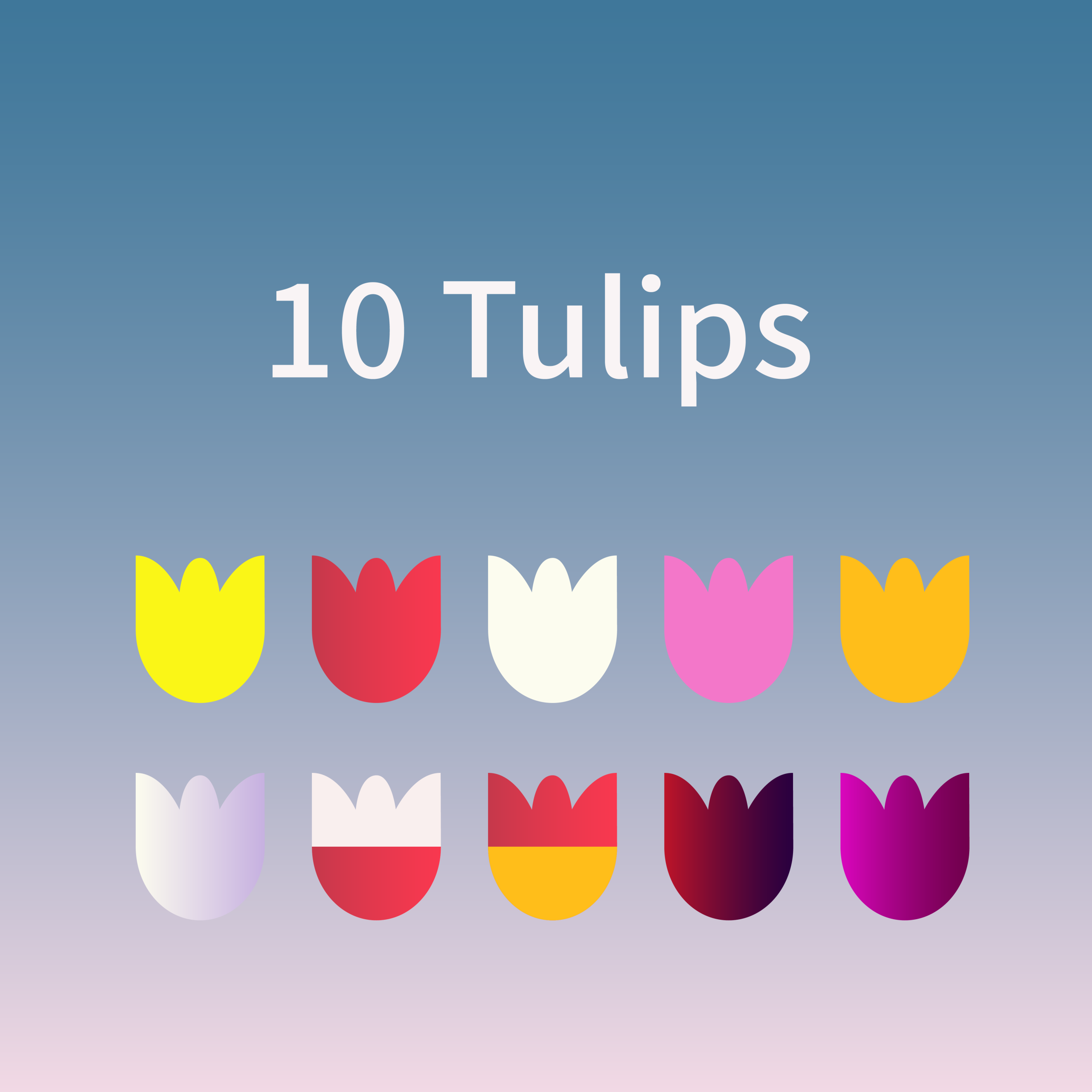 Ten tulips🌷
